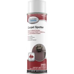 QUICK AND CLEAN CARPET SPOTTER  12/18OZ