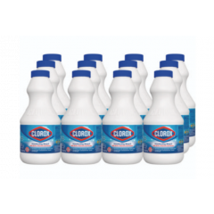 [*][*] CONCENTRATED REGULAR  DISINFECTING BLEACH 24OZ 12/CS
