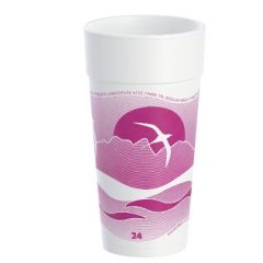 HORIZON HOT/COLD FOAM CUP 24oz 500/cs