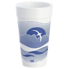 HORIZON HOT/COLD FOAM CUP 20oz 500/cs
