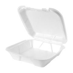 SNAP-IT HINGED CONTAINER LARGE 1 COMPARTMENT 9x9x3