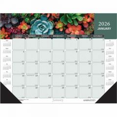 2026 MONTHLY DESK CALENDAR 22x17 SUCCULENT/CACTI