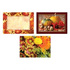 AUTUMN DAYS VARIETY PACK  PLACEMATS 10"x14" 1000/CS