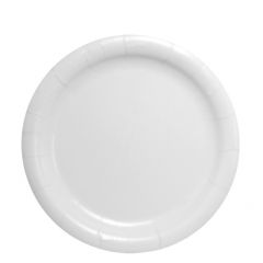 PAPER PLATE 9" WHITE 500/CS 